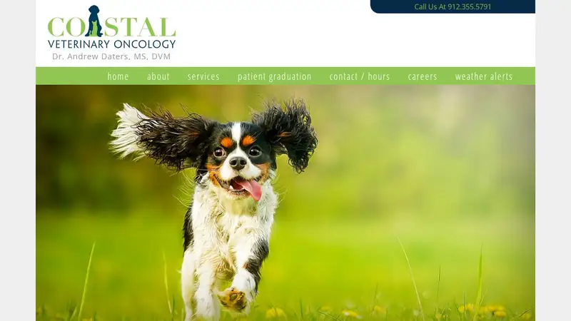 Coastal Veterinary Oncology preview