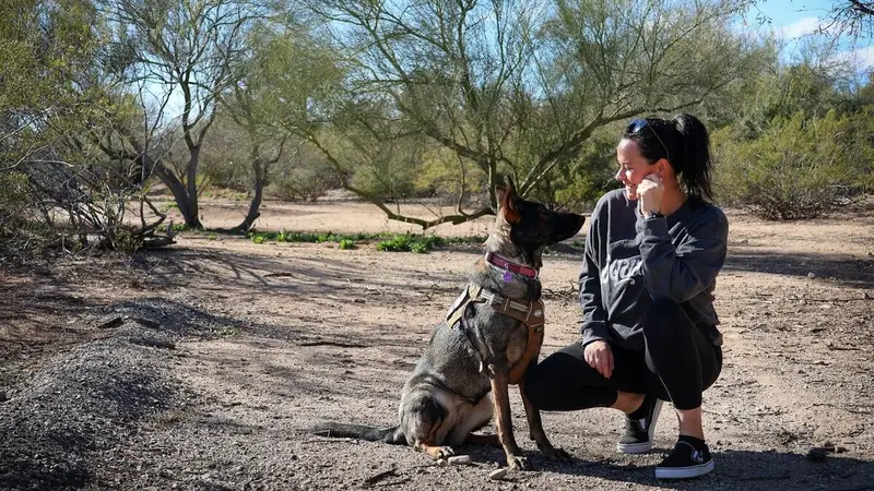 Start Pawsitive Dog Training preview