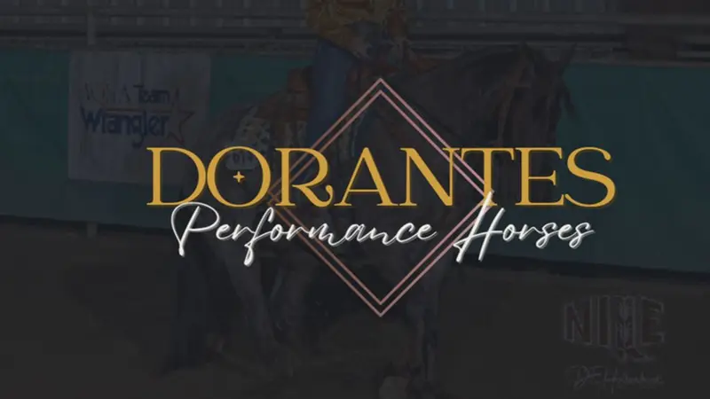Dorantes Performance Horses preview