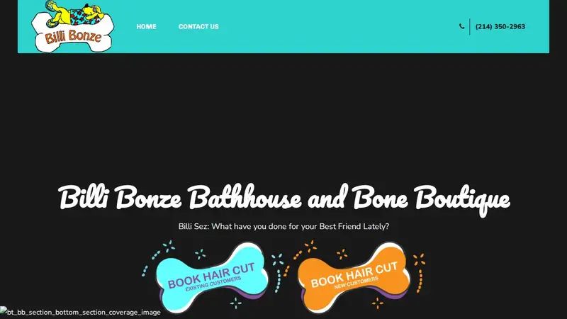 Billi Bonze preview