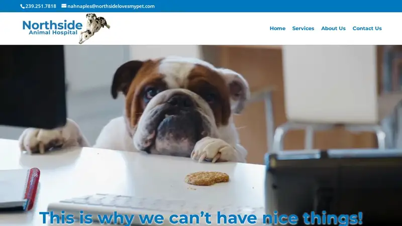 Northside Animal Hospital preview