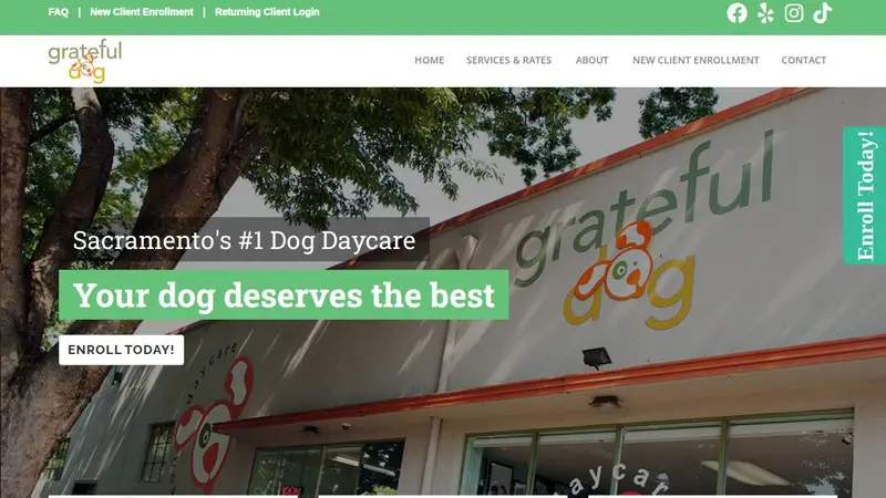 Grateful Dog Daycare preview