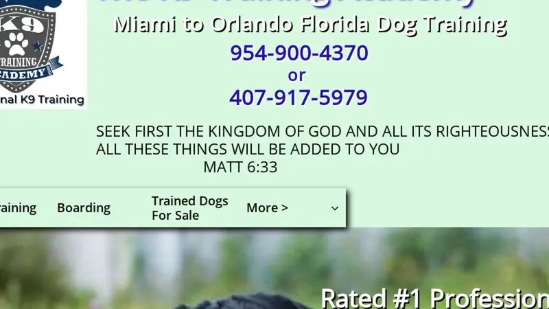 The K9 Training Academy Orlando preview