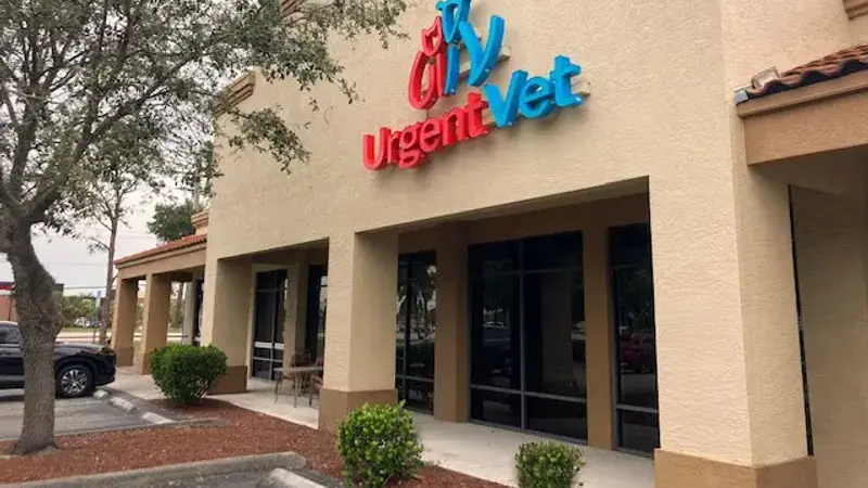 UrgentVet preview