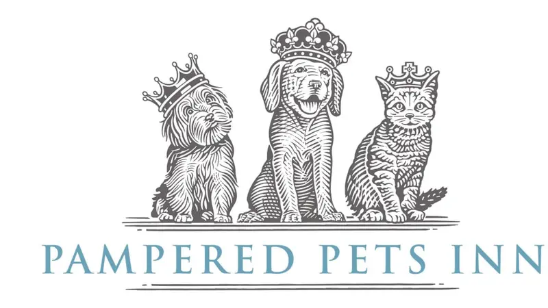 Dog Training at Pampered Pets Inn preview