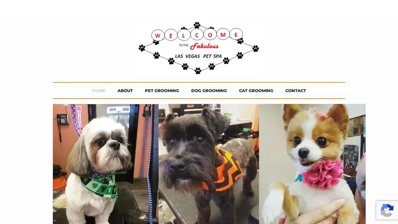 Las Vegas Pet Spa preview