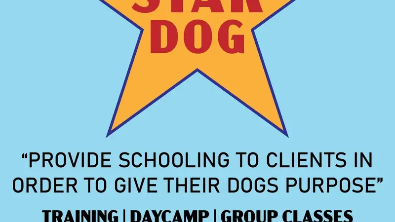 Star Dog preview