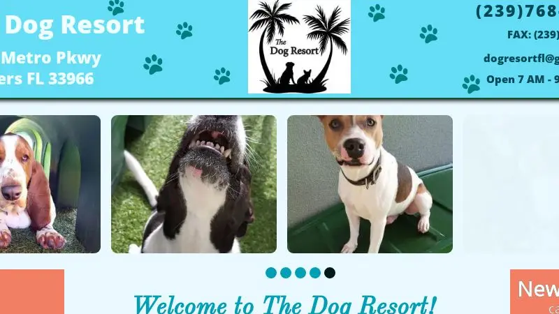 The Dog Resort preview