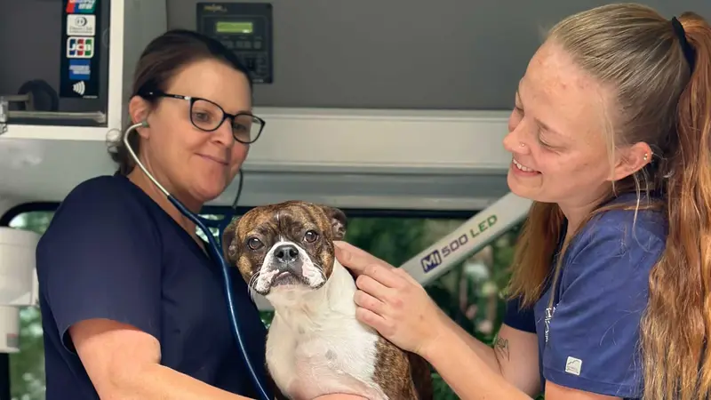 Capital Home Veterinary Care preview