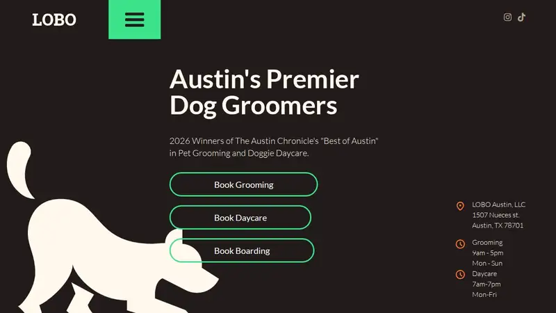 Lobo Austin, LLC preview