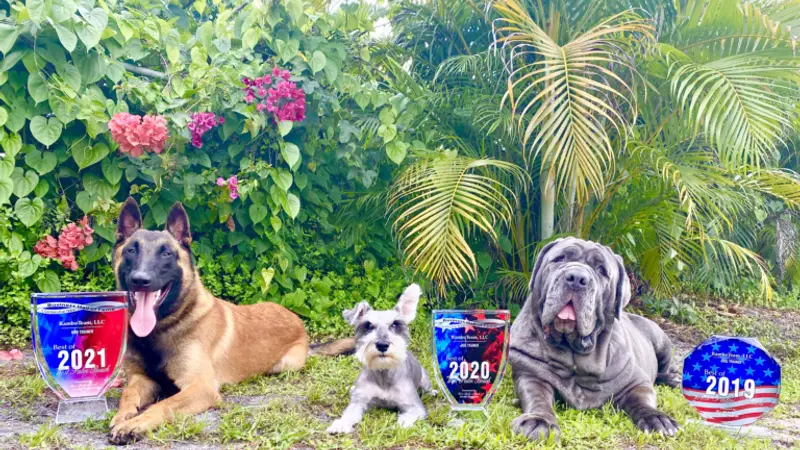 RAMBO team preview