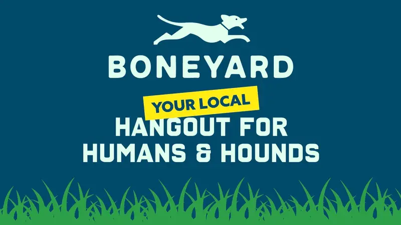 The Boneyard Dog Park and Sports Bar preview