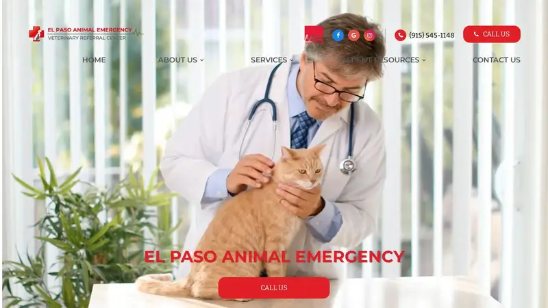 El Paso Animal Emergency Center preview