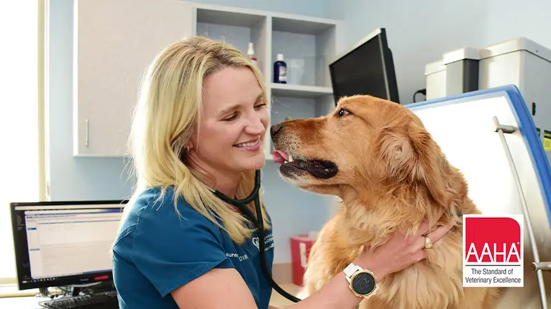 Cowtown Pet Care preview