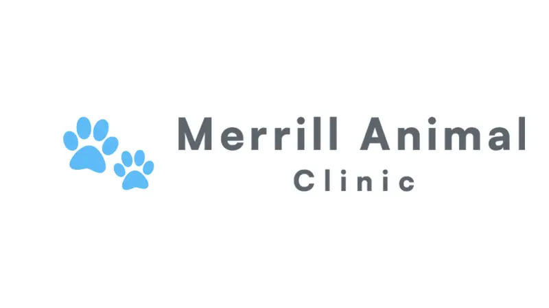 Merrill Animal Clinic preview