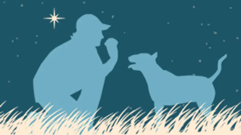 Sirius Puppy and Dog Training preview