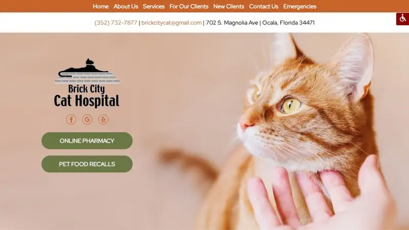 Brick City Cat Hospital preview