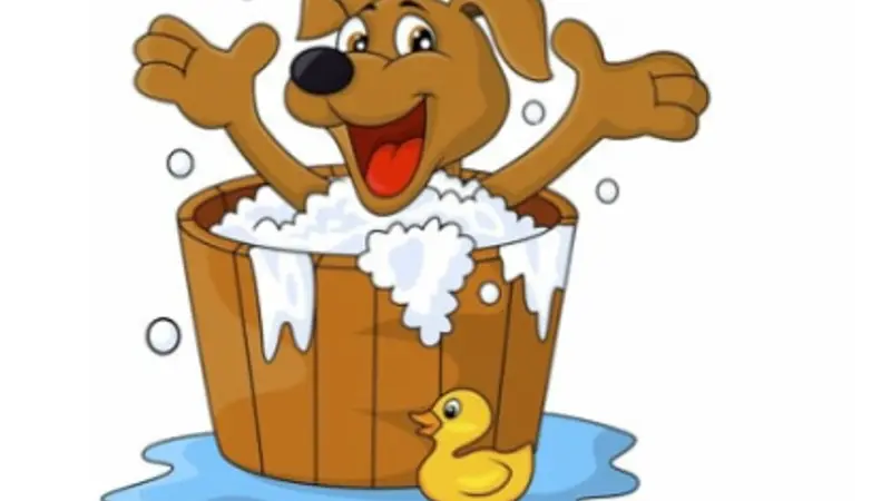 Lori's Grooming, Boarding and Daycare preview