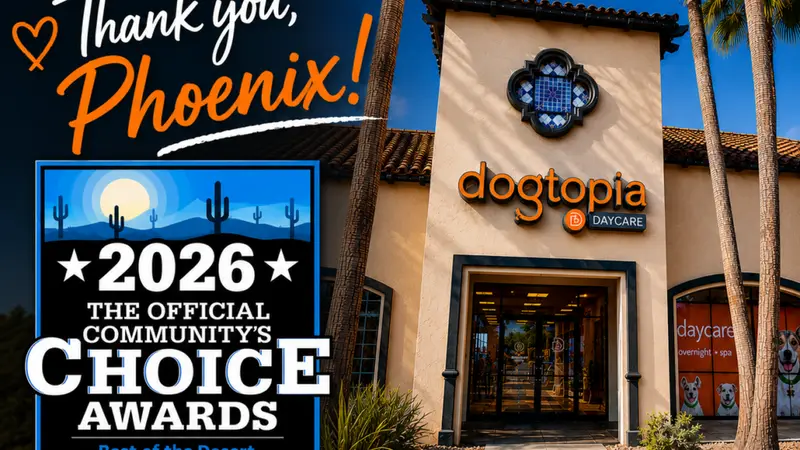 Dogtopia of Ahwatukee preview