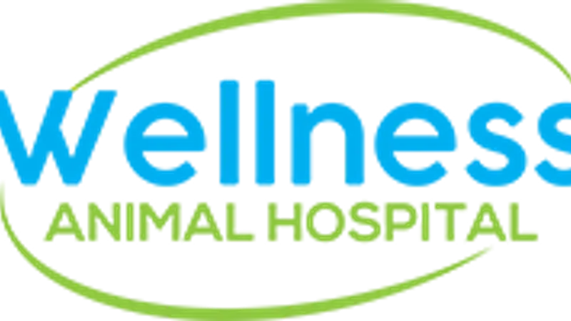 Wellness Animal Hospital preview