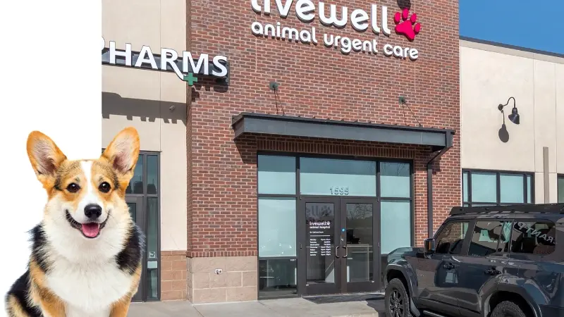 Livewell Animal Urgent Care of Colorado Springs preview