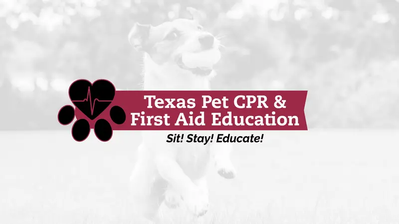 Dallas Pet Cpr & First Aid preview