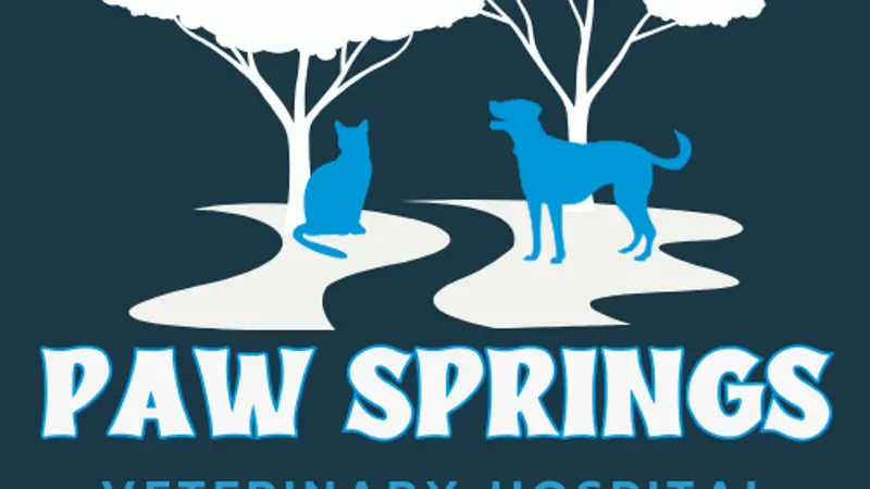 Paw Springs Veterinary Hospital - Midtown preview