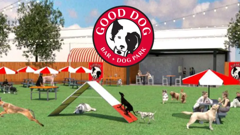 Good Dog Pet Resort and Bar preview