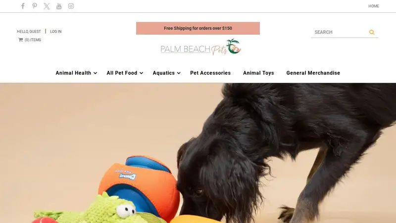 Palm Beach Pets preview