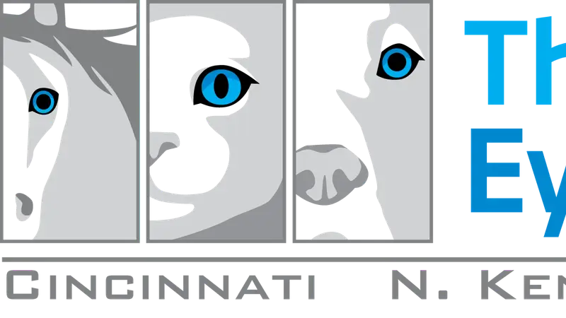 Animal Eye Institute preview