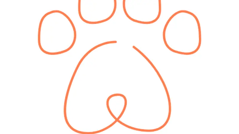 Woof N Wag Miami preview