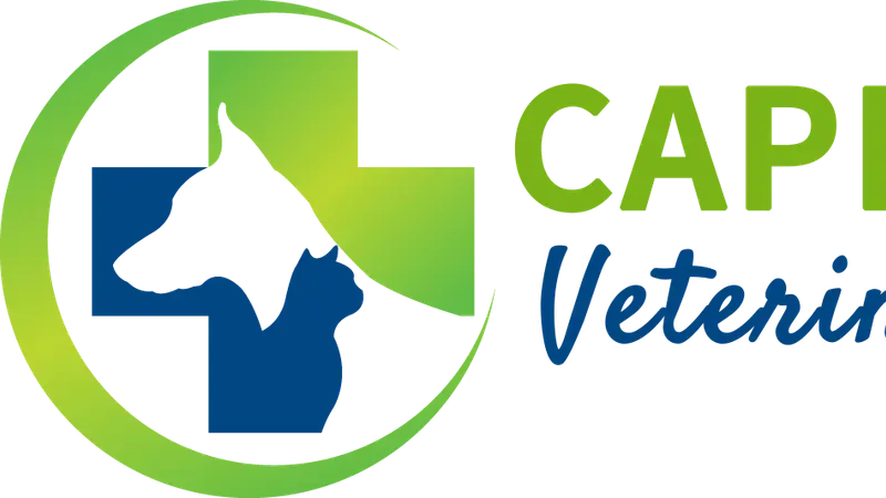 Capital Area Veterinary Specialists preview
