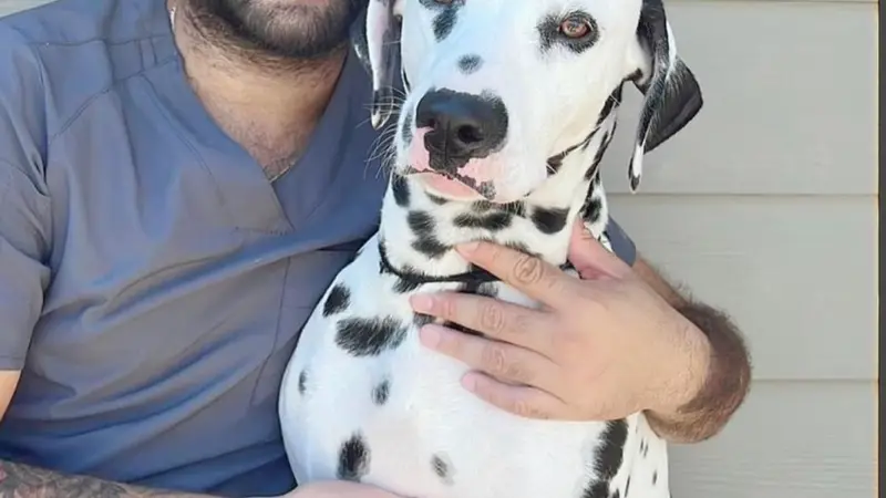 Pet and love Houston preview