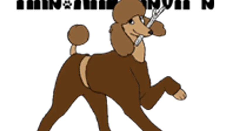 Mrs Anderson's Pet Groom and Dog preview