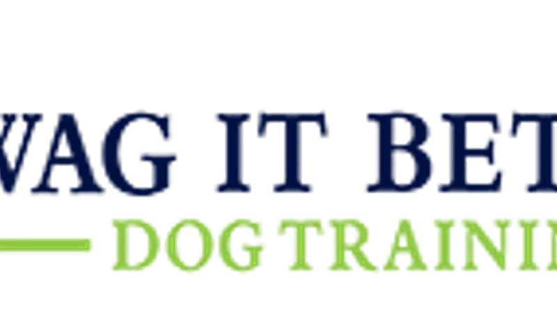 Wag It Better Family Dog Training and Boutique preview