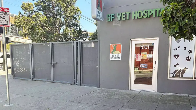 SF Vet Hospital preview