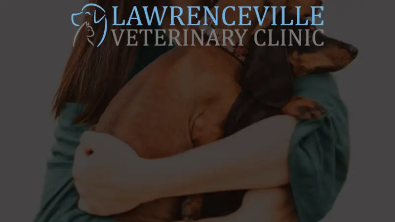 Lawrenceville Veterinary Clinic preview