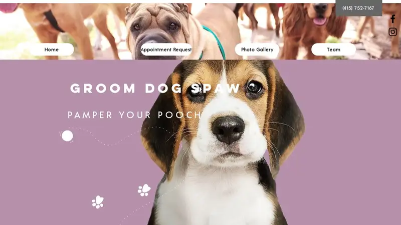 Groom Dog Spaw preview