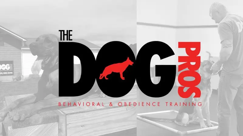 The Dog Pros preview