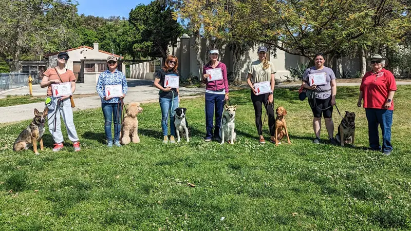 Hollywood Dog Obedience Club preview