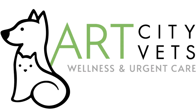 Art City Vets preview