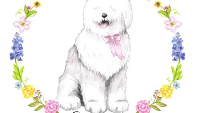 The Shaggy Dog Parlor preview