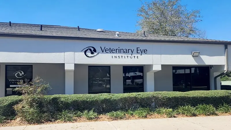 Veterinary Eye Institute Ocala preview