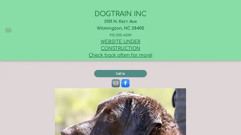 Dogtrain Inc preview