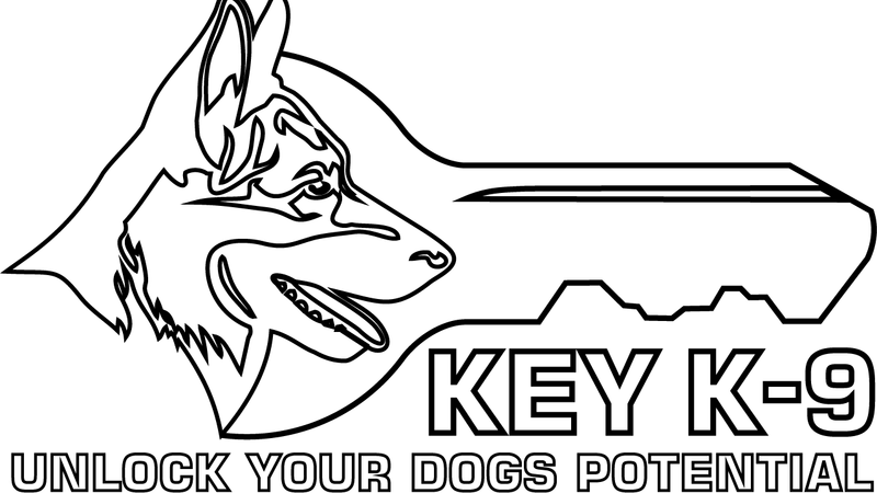 Key K-9 Billings preview