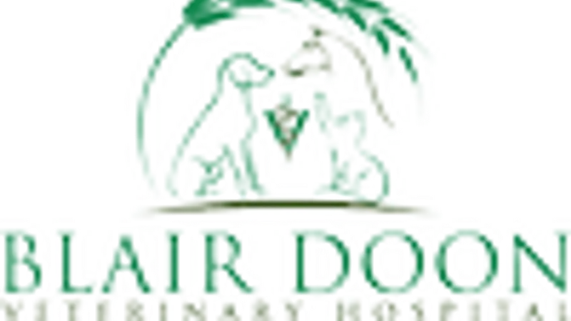 Blair Doon Veterinary Hospital preview