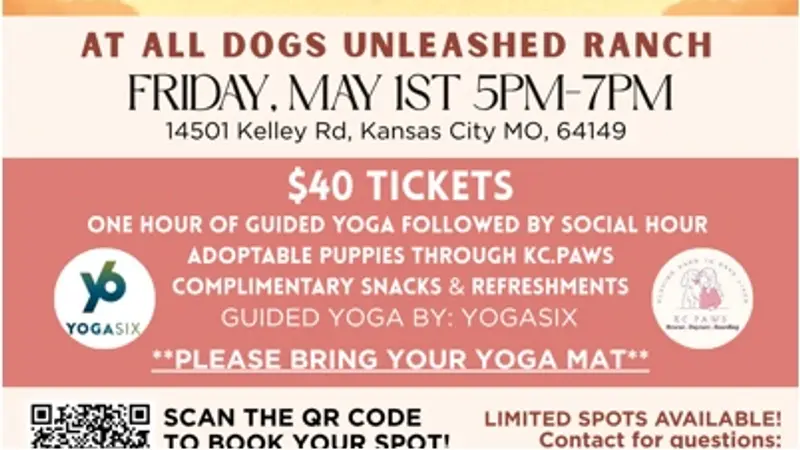 All Dogs Unleashed preview