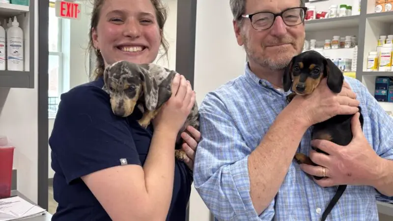 Belle Meade Animal Hospital preview