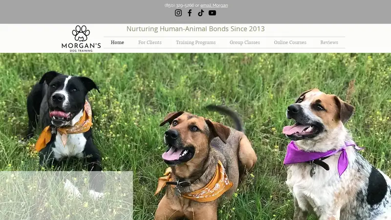 Morgan's Dog Boutique preview