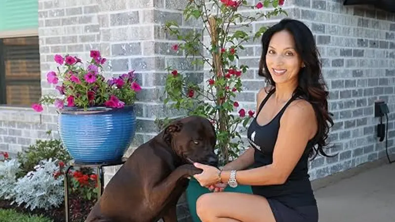 Stay Home Pet Sitting preview